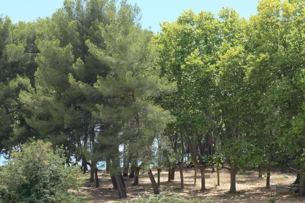 Petit Paradis Classe 3 Etoiles A 200M De La Plage! Terrasse-Wifi-Parking-Clim سانت-ماندرييه-سور-مير المظهر الخارجي الصورة
